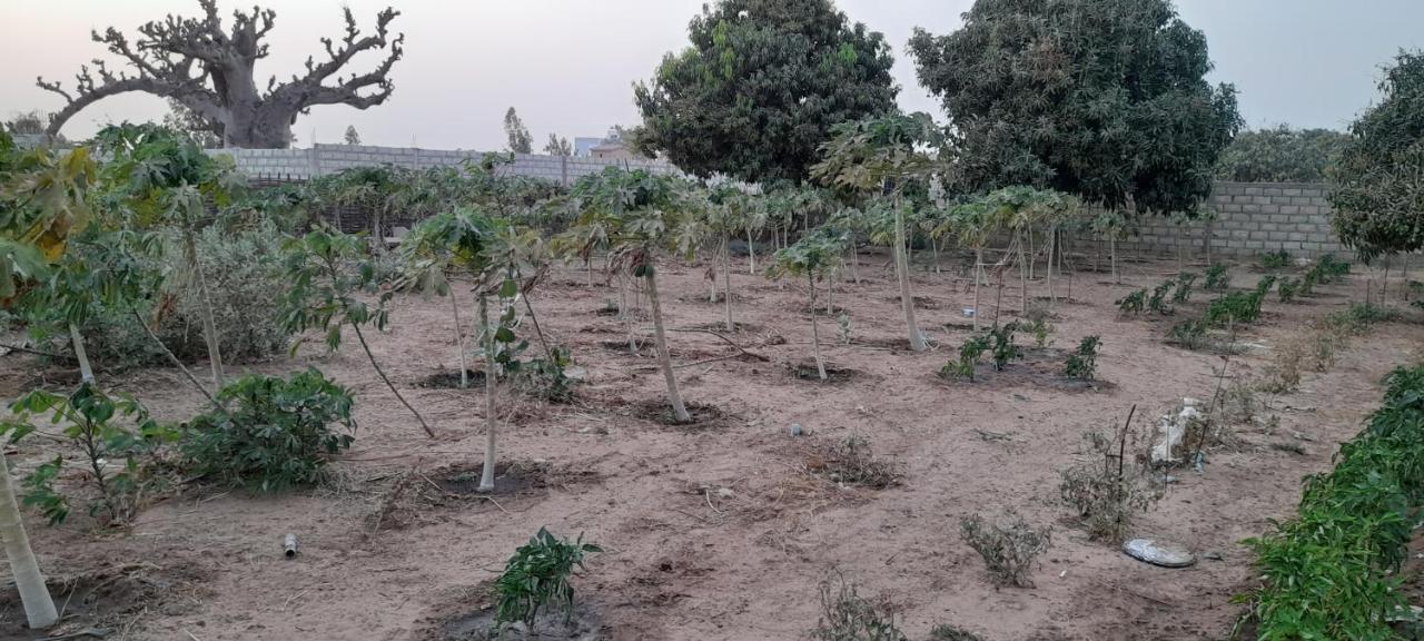 Saly Lrad Le Village Ngaring Kültér fotó